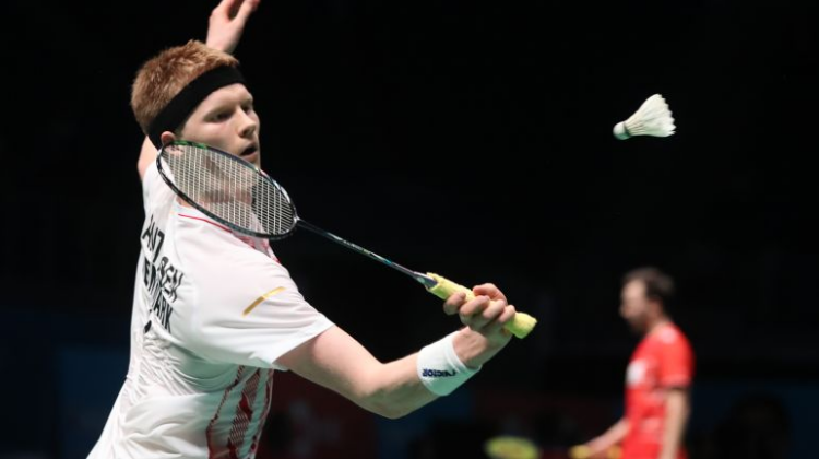 女网世界排 女网世界排