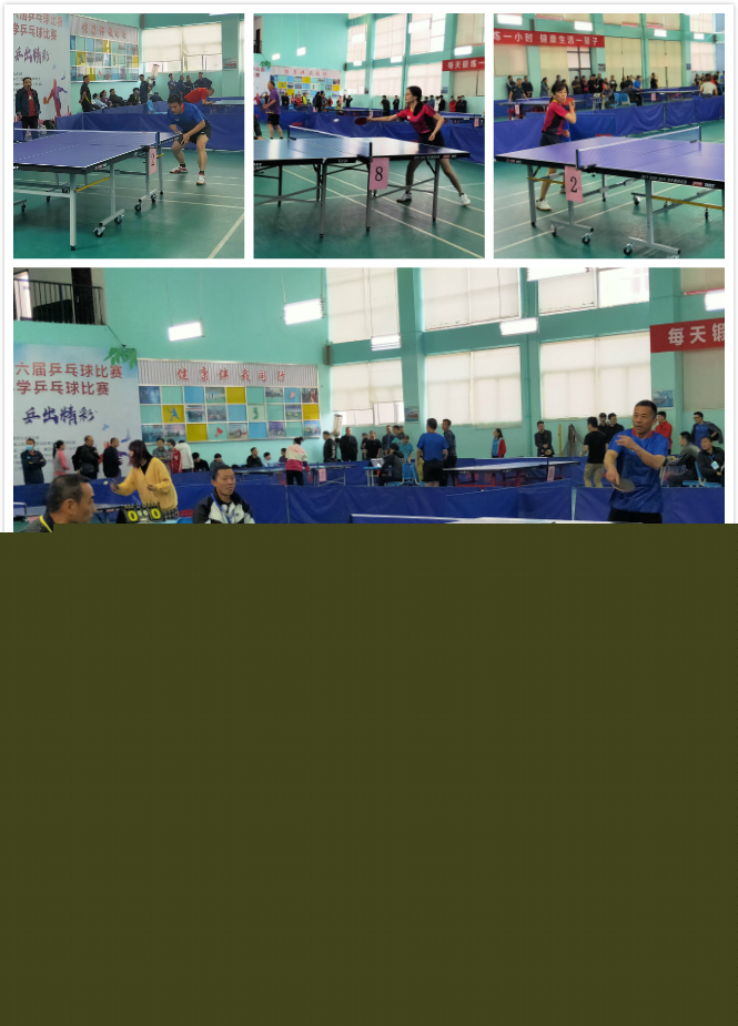 反插河道 反插河道